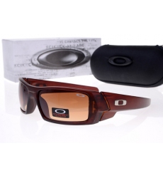 Oakley Glasses-0829